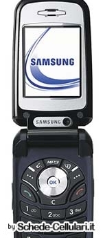 Samsung Z310