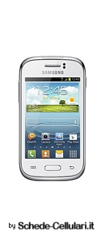 Samsung Galaxy Young S6310