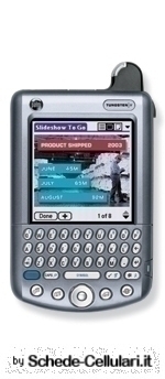 Palmone Tungsten W