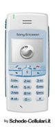 Sony Ericsson T 100