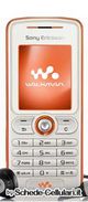 Sony Ericsson W200