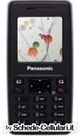 Panasonic SC3