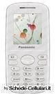 Panasonic A210