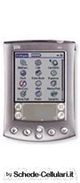 Palm m505